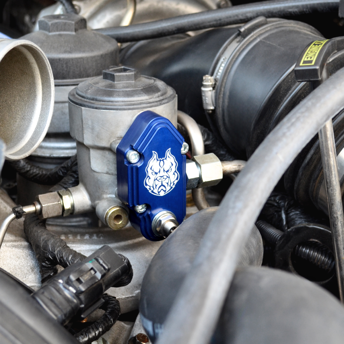 Blue Spring Kit with Adjustable Billet Spring Housing for 2003